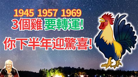 1969雞五行|生肖雞：1969年是什麼命？